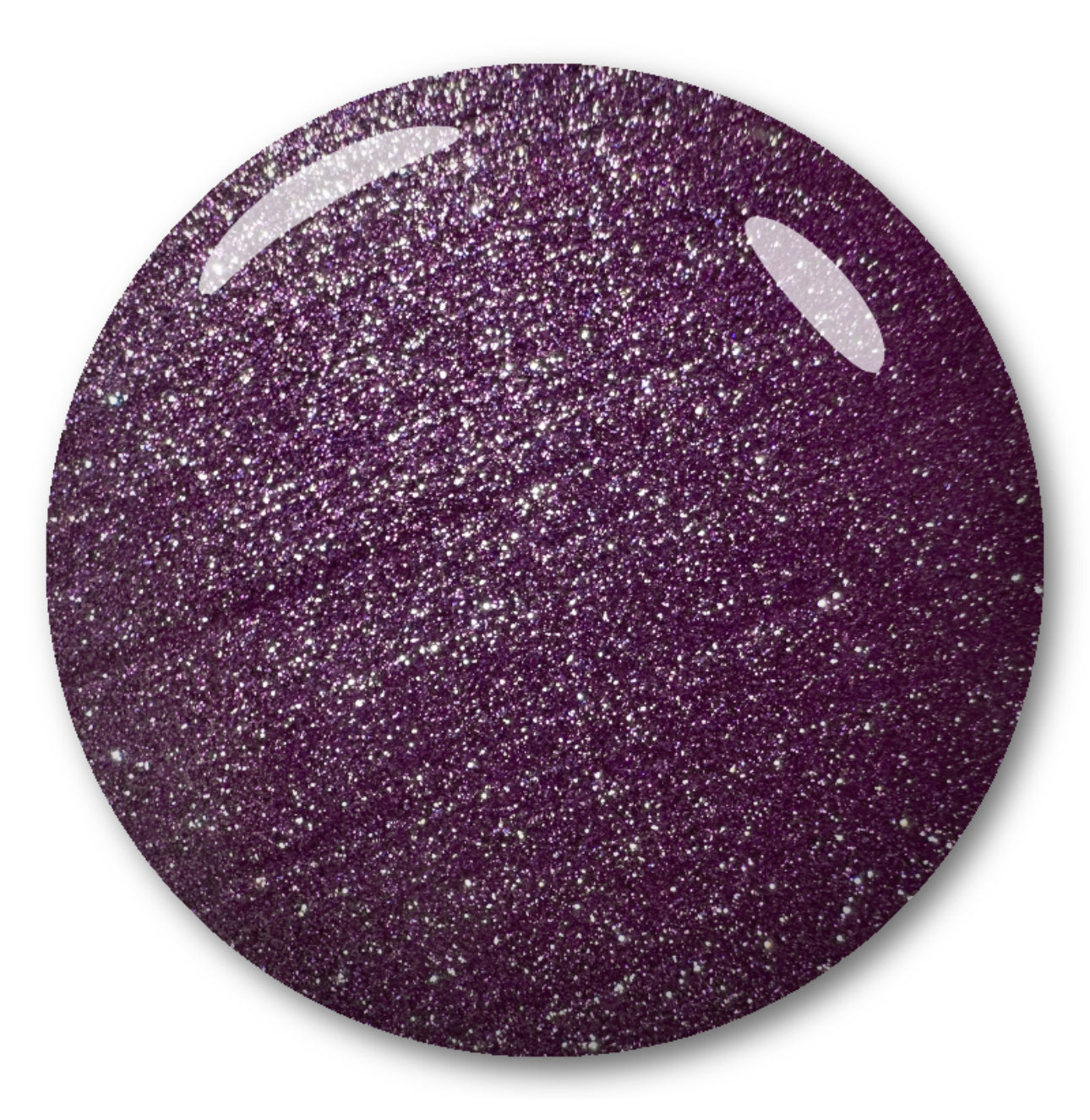 SEA URCHIN