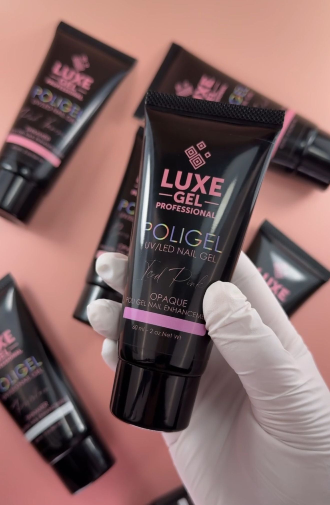 POLIGEL COURSE - BEGINNER