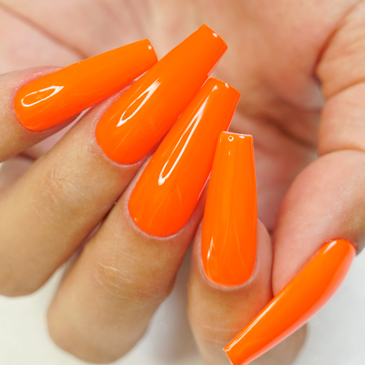 KOI - LUXE GEL EUROPE